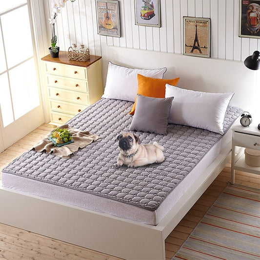 Pet Sofa Cover Furniture Protector