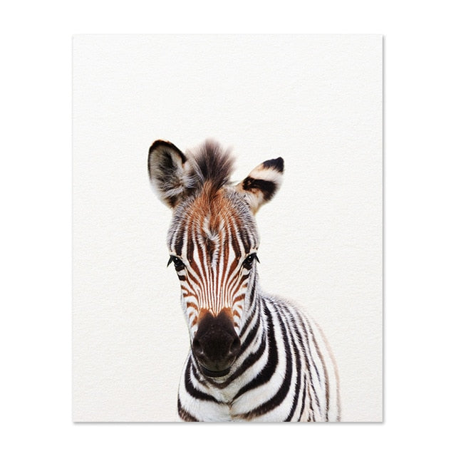 Safari Baby Animals Lion Tiger Zebra Poster