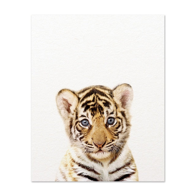 Safari Baby Animals Lion Tiger Zebra Poster