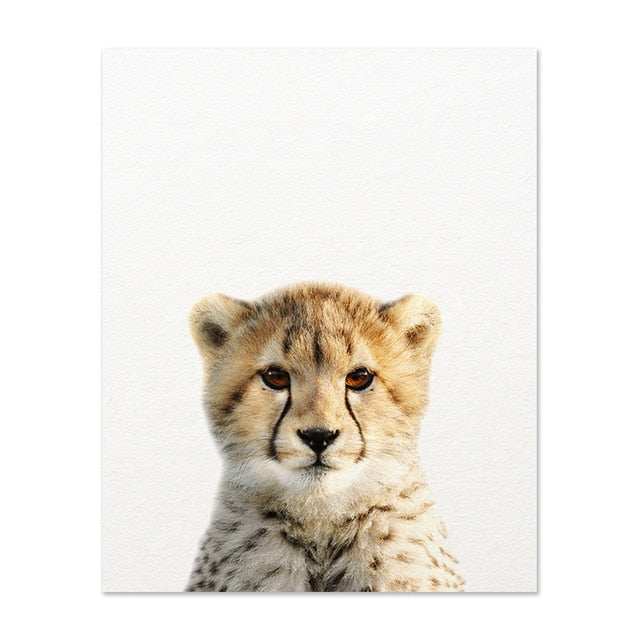 Safari Baby Animals Lion Tiger Zebra Poster