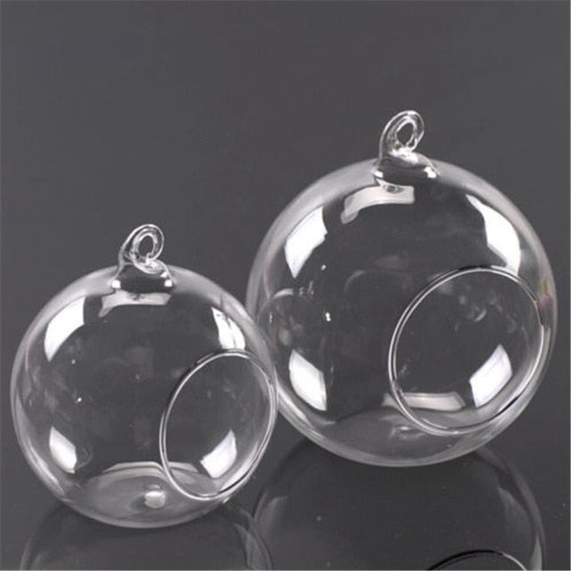 Clear Hanging Ball Glass Flowerpot