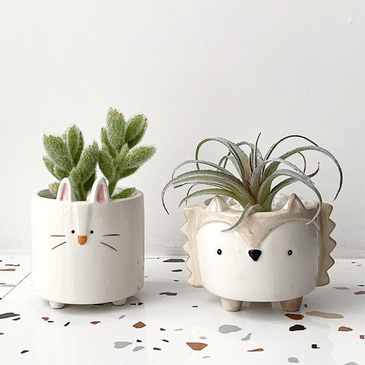 Cartoon Succulent Ceramic Flower Pot
