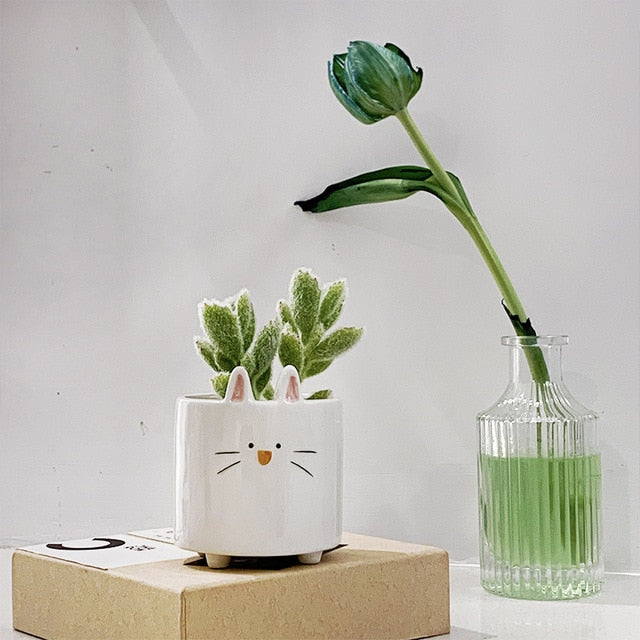 Cartoon Succulent Ceramic Flower Pot