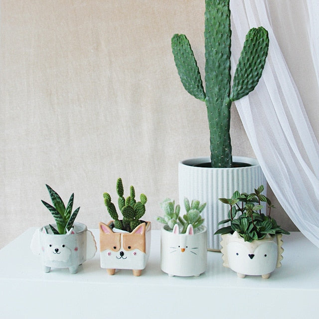 Cartoon Succulent Ceramic Flower Pot