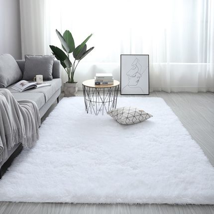 Long Hair Living Room Carpet Sofa