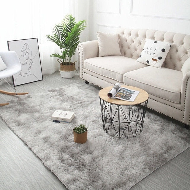 Shaggy Soft Carpets Climb Rugs