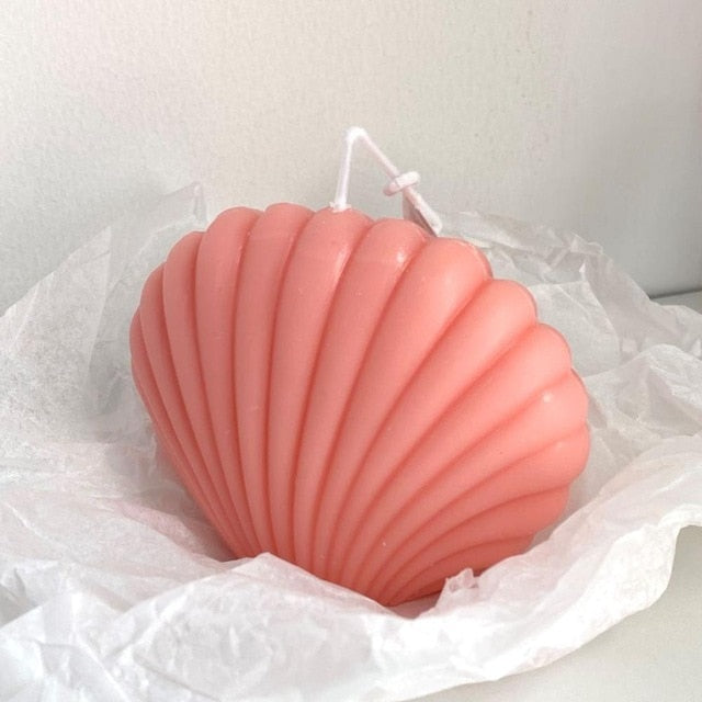 Shell Candle Home Decoration Shooting Background