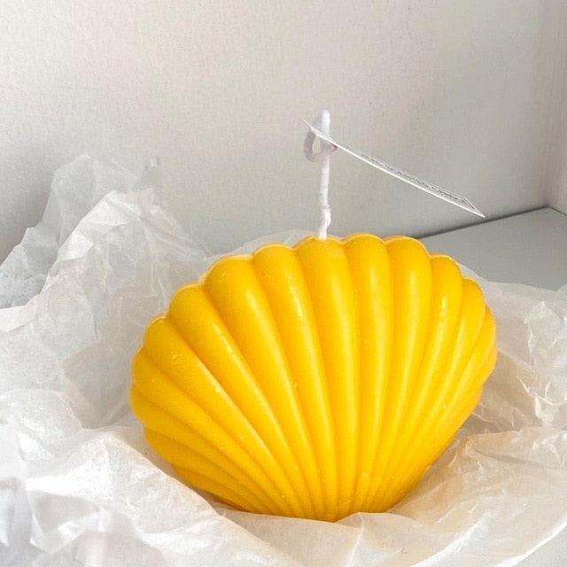 Shell Candle Home Decoration Shooting Background