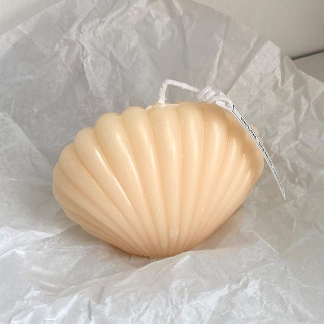 Shell Candle Home Decoration Shooting Background