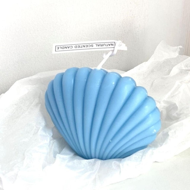 Shell Candle Home Decoration Shooting Background
