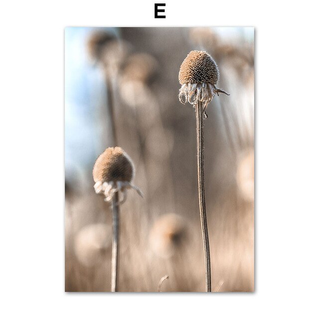 House Deer Dandelion Dead Grass Plant Wall Art