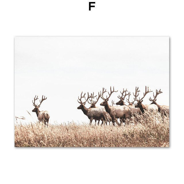 House Deer Dandelion Dead Grass Plant Wall Art