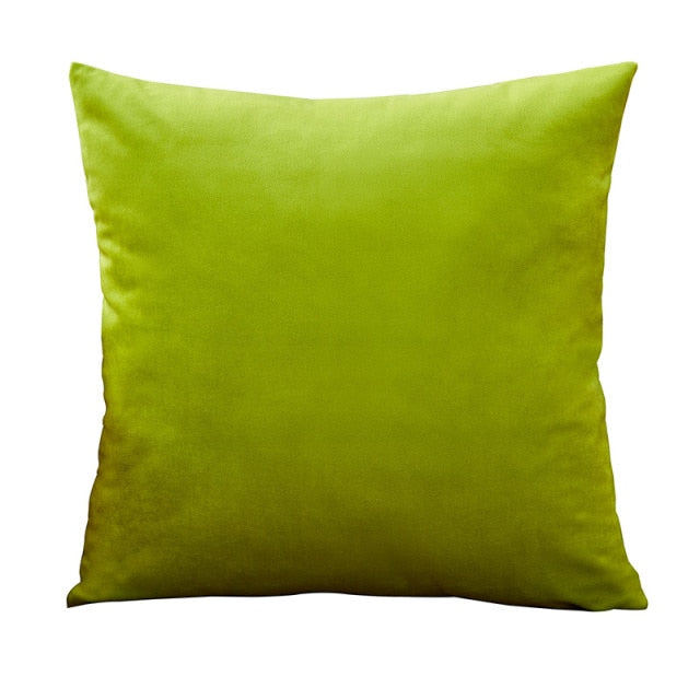 Throw Pillow Velvet Cushion Cover