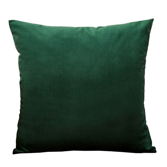 Throw Pillow Velvet Cushion Cover