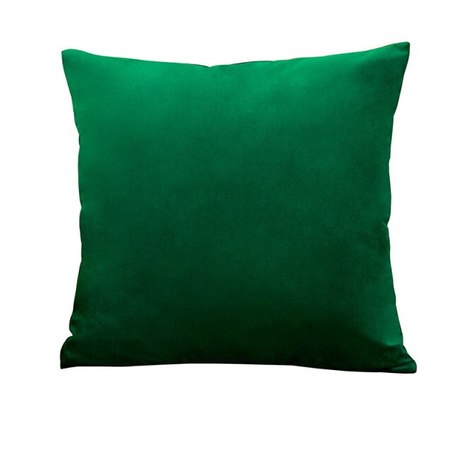 Throw Pillow Velvet Cushion Cover