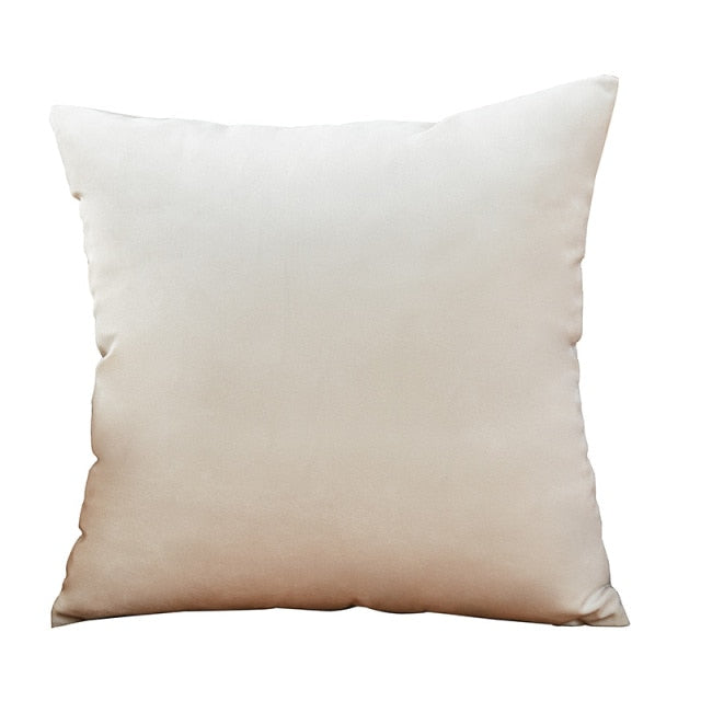 Throw Pillow Velvet Cushion Cover