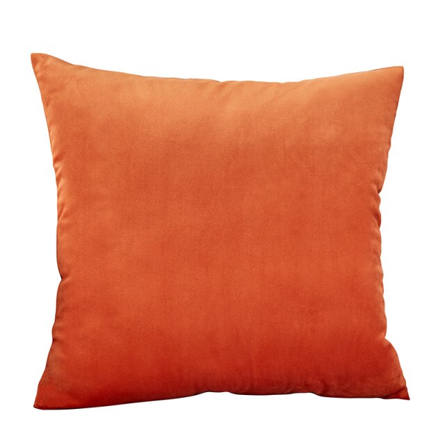 Throw Pillow Velvet Cushion Cover