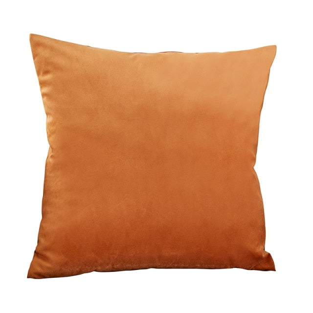 Throw Pillow Velvet Cushion Cover