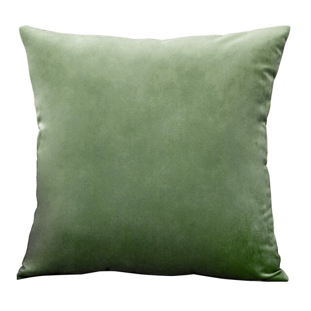 Throw Pillow Velvet Cushion Cover