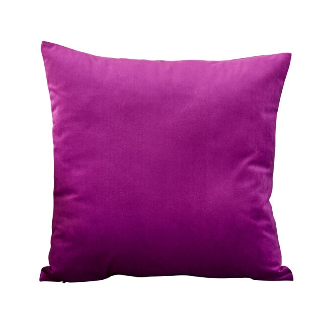 Throw Pillow Velvet Cushion Cover