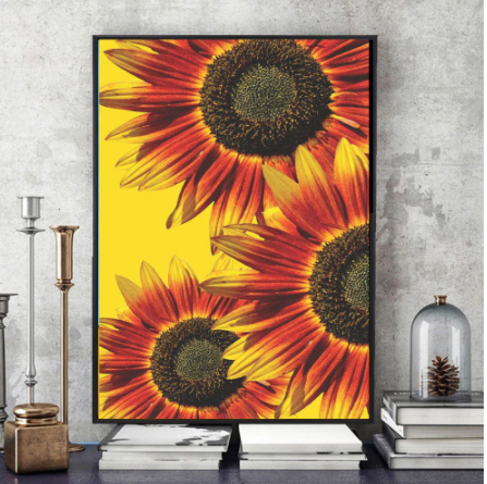 Home Decoration Sunflower Diamond Painting