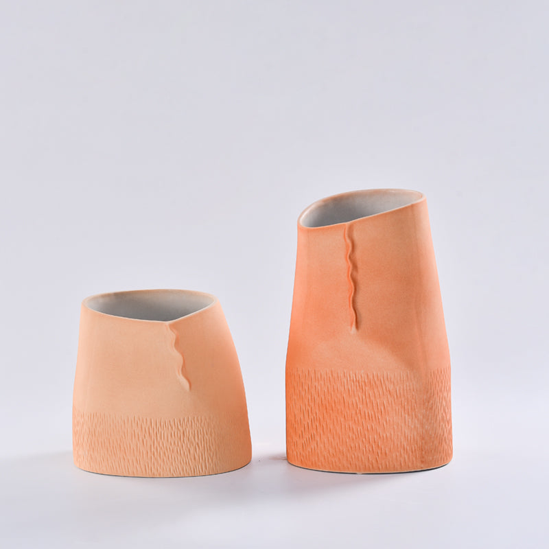 Ceramic Vases In The Model Room