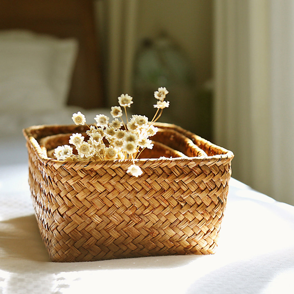 Household And Daily Necessities, Department Stores