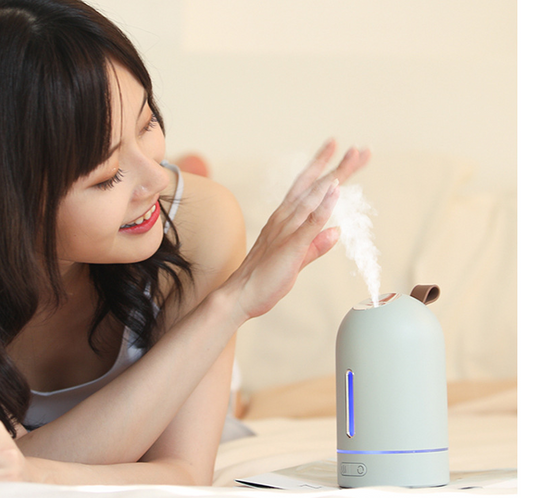 Automatic Shaking Head Desktop Humidifier