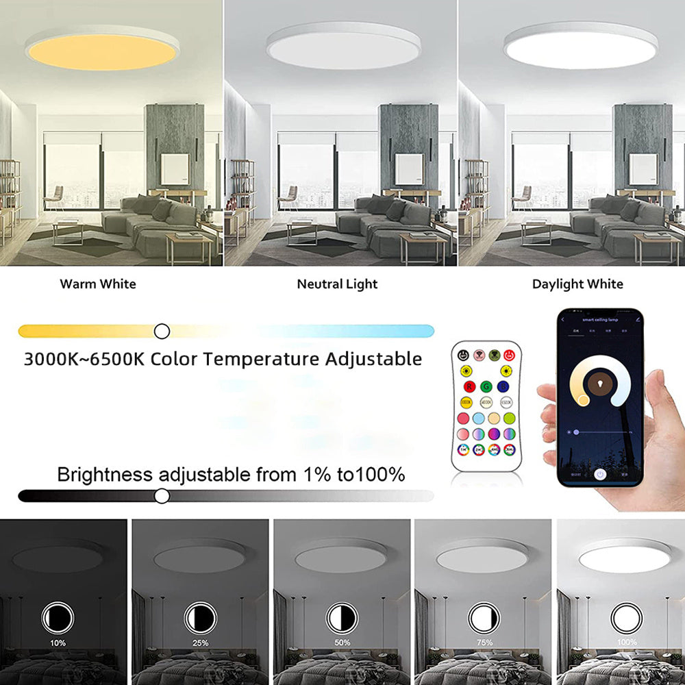 RGBCW Full Color Dimming And Coloring Intelligent Bluetooth Ceiling Lamp