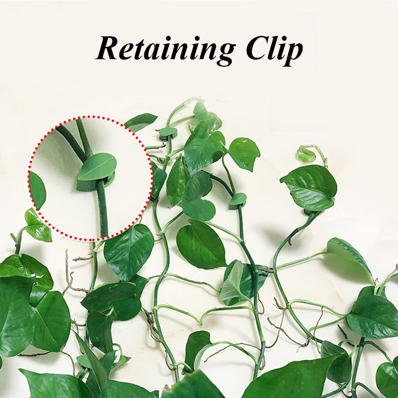 Self-Adhesive Plant Fixture Clip Green Dill Fixator Garden Decor