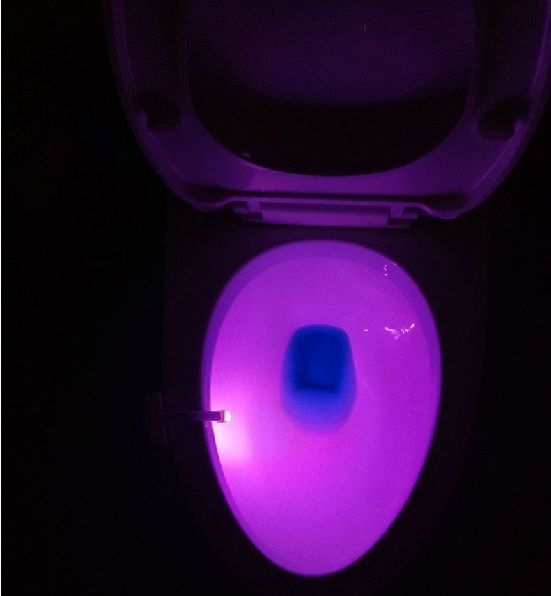 Toilet Induction LED Night Light