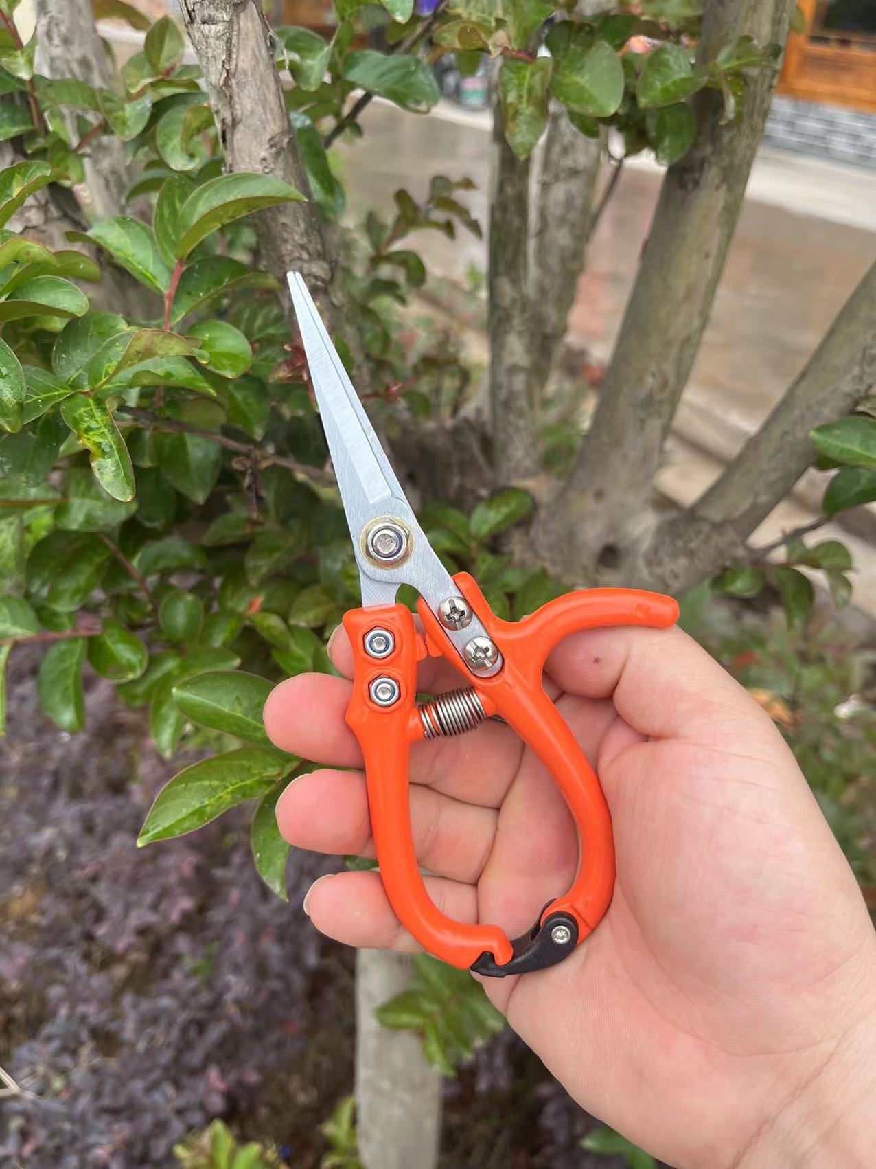 Multifunctional Garden Scissors Pruning Shears Manual