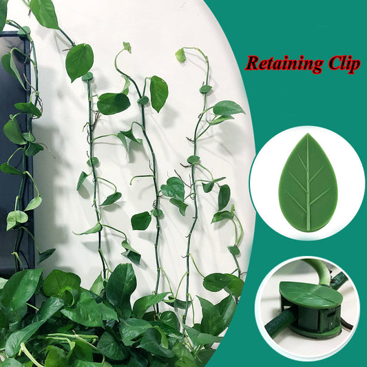 Self-Adhesive Plant Fixture Clip Green Dill Fixator Garden Decor