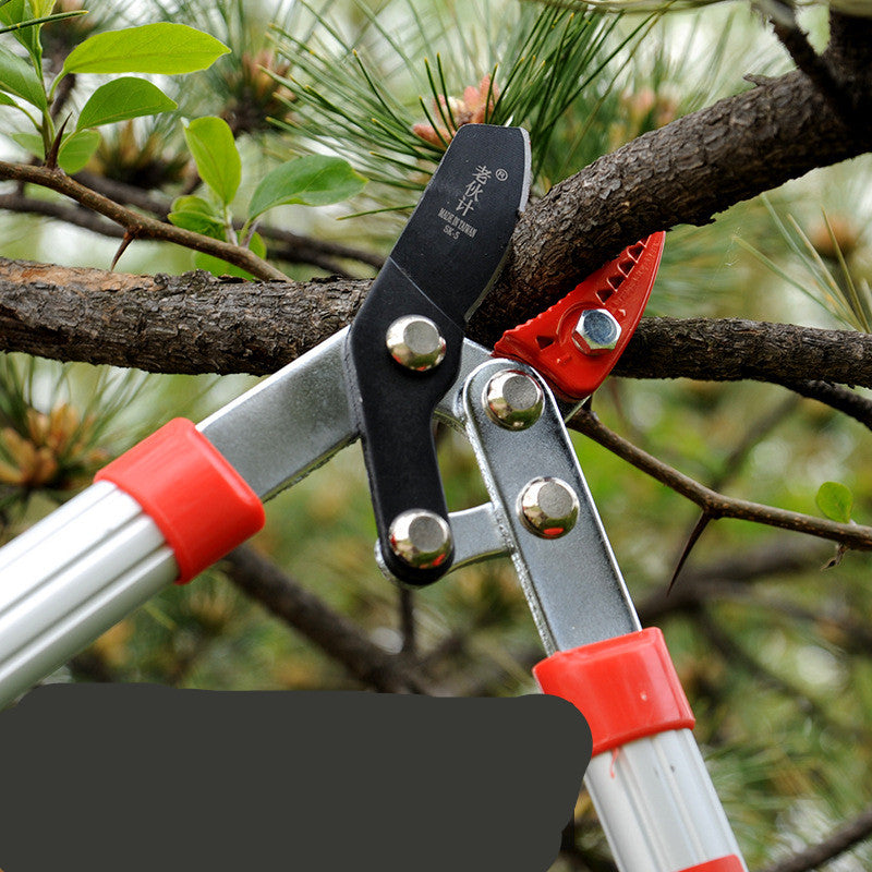 Small Scissors With Aluminum Handle Garden Pruning Garden Tools