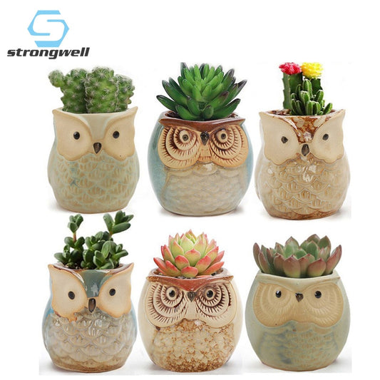 Ceramic Owl Shape Succulent Flower Pot