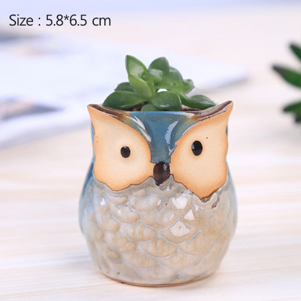 Ceramic Owl Shape Succulent Flower Pot