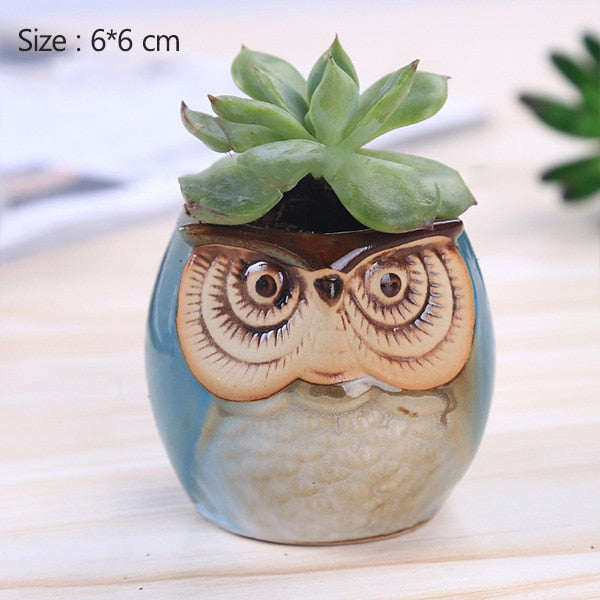 Ceramic Owl Shape Succulent Flower Pot