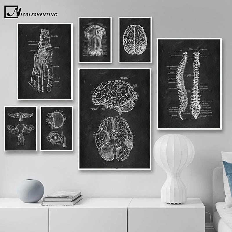 Human Anatomy Artwork Wall Picture