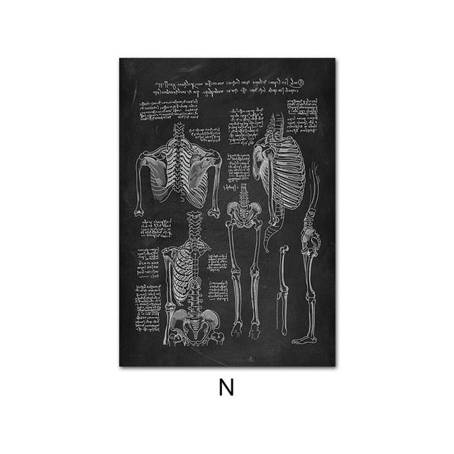 Human Anatomy Artwork Wall Picture