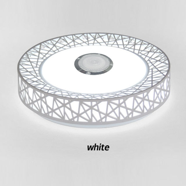 Bird's nest Modern Led ceiling Light RGB Dimmable