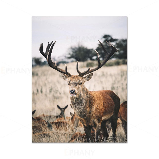 Landscape Animal Deer Picture Nature Poster Wall Art
