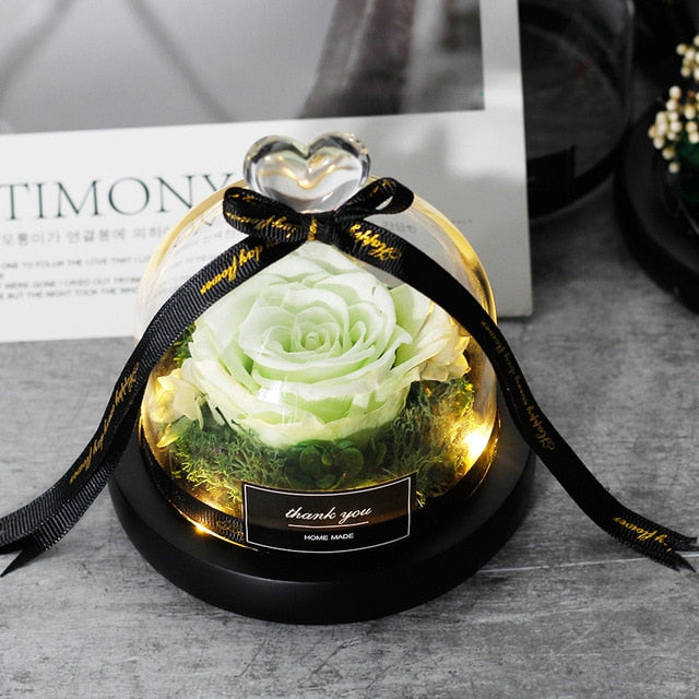 Exclusive Rose In Glass Dome With Lights