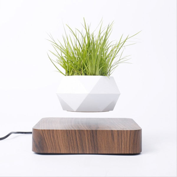 Magnetic  Floating Pot Potted Plant