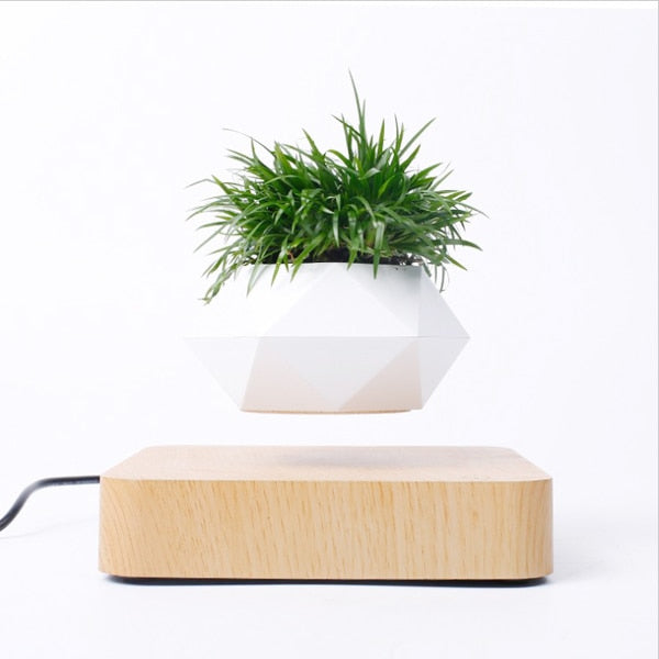 Magnetic  Floating Pot Potted Plant