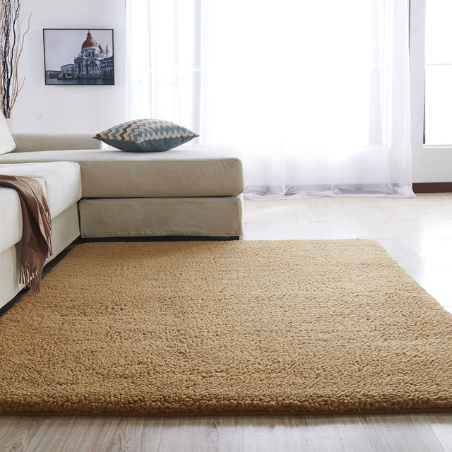 Plush Anti-slip Soft Carpet