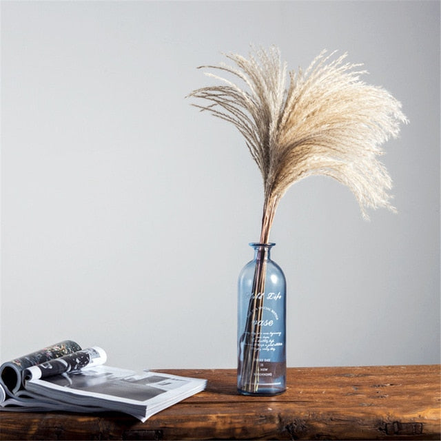 Pampas Dried Flowers Bunch Feather