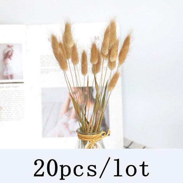 Bulrush Natural Dried Flowers Artificial Plants