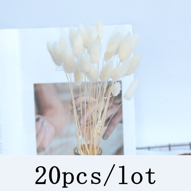 Bulrush Natural Dried Flowers Artificial Plants