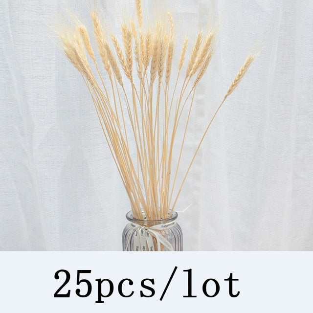 Bulrush Natural Dried Flowers Artificial Plants