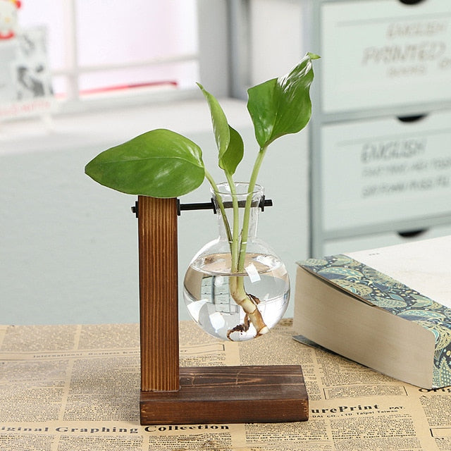 Terrarium Hydroponic Plant Vases Vintage Flower Pot Transparent Vase Wooden Frame Glass Tabletop Plants Home